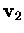 $\mbox{\bf v}_2$
