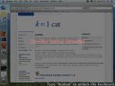 Screenshot of CatNip having locked the screen